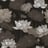 Bild von 